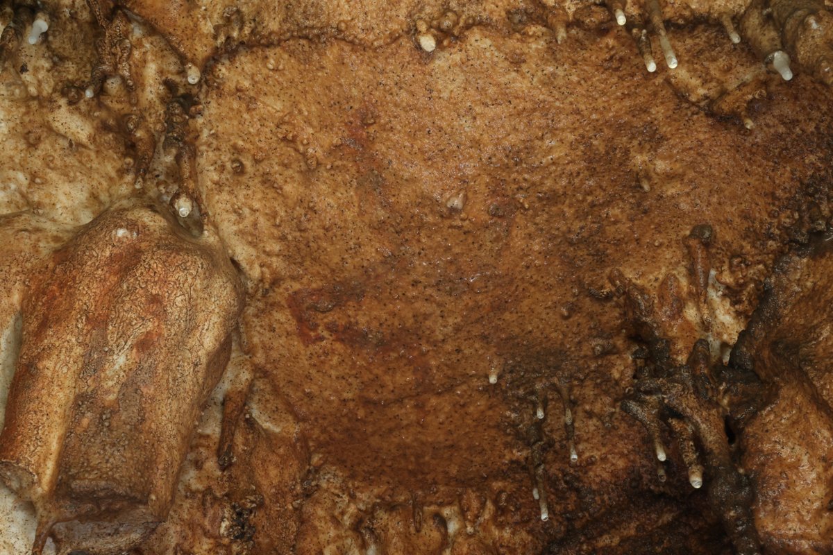 Panel decorado, sector profundo de la cavidad