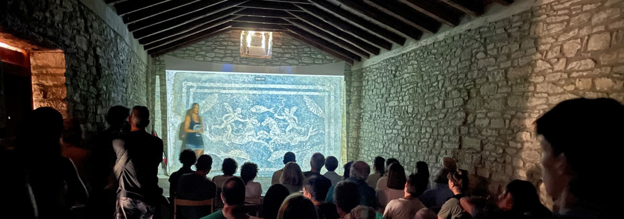 proyeccion de artieda